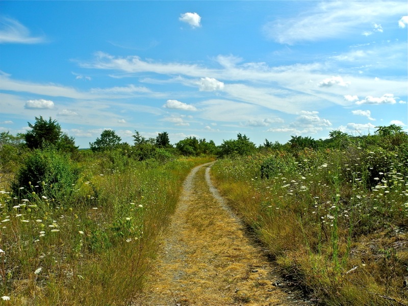 Path from East Head toward Village